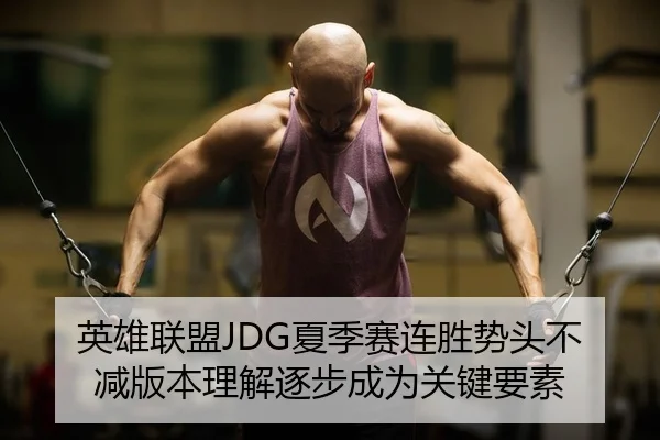 英雄联盟JDG夏季赛连胜势头不减版本理解逐步成为关键要素